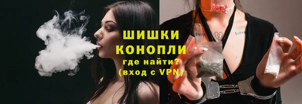 сатива Володарск