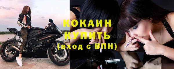 сатива Володарск